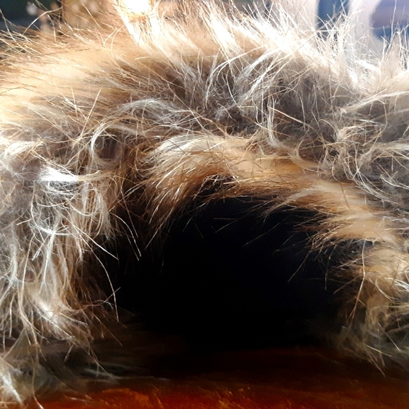 North Fetch Athletics Dog Parka - Picture 7 of 15